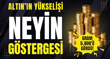 Altın'ın Yükselişi Neyin Göstergesi?