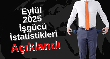 Eylül 2025 İşgücü İstatistikleri Açıklandı: İşsizlik %8,6 Seviyesinde Sabit Kaldı