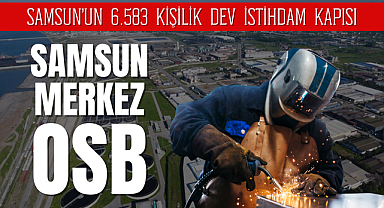 Karadeniz'in Sanayi Gücü: Samsun Merkez OSB