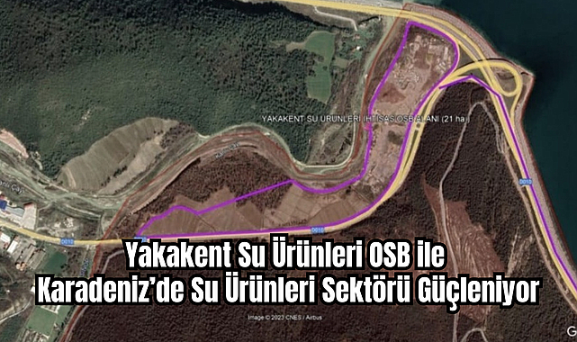 Yakakent Su Ürünleri OSB ile Karadeniz’de Su Ürünleri Sektörü Güçleniyor
