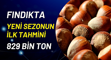 Fındıkta Yeni Sezonun İlk Tahmini 829 Bin Ton