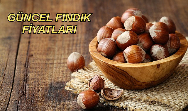 Serbest piyasa güncel fındık fiyatları! 25 Mart 2026 fındık fiyatları