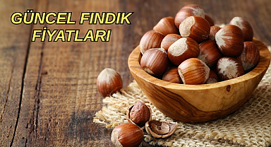 Serbest piyasa güncel fındık fiyatları! 17 Nisan 2026 fındık fiyatları